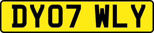 DY07WLY