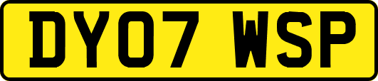 DY07WSP