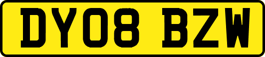 DY08BZW