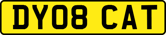 DY08CAT