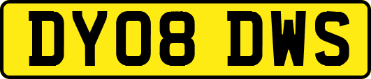 DY08DWS