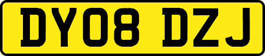 DY08DZJ
