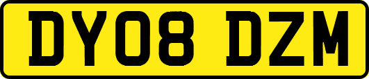 DY08DZM