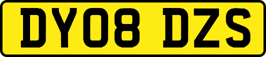 DY08DZS