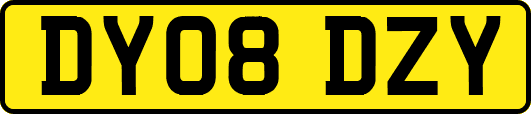 DY08DZY