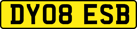 DY08ESB