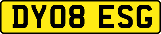 DY08ESG