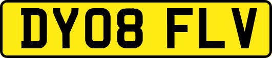 DY08FLV