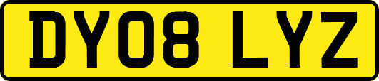 DY08LYZ
