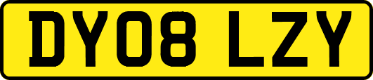 DY08LZY