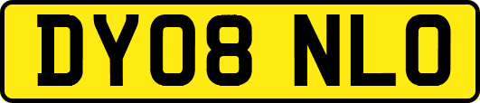 DY08NLO