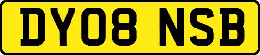 DY08NSB