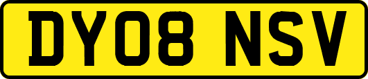 DY08NSV