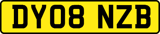 DY08NZB