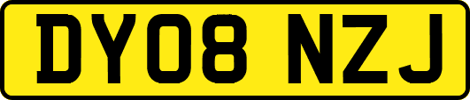 DY08NZJ