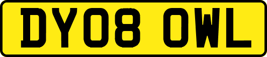 DY08OWL