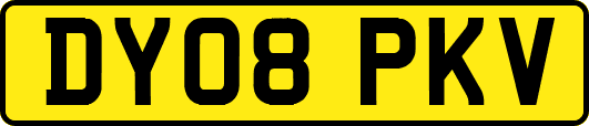 DY08PKV