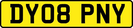 DY08PNY