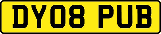 DY08PUB