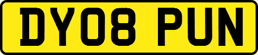 DY08PUN