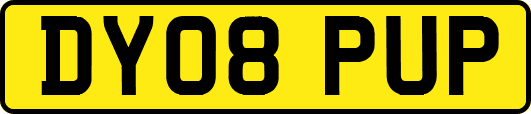 DY08PUP