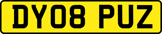 DY08PUZ