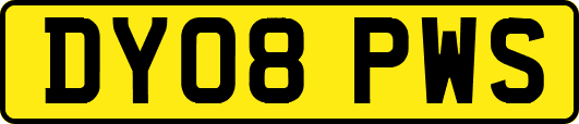 DY08PWS
