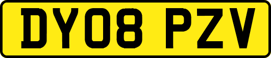 DY08PZV
