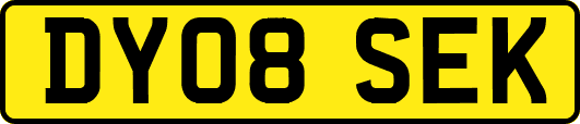 DY08SEK