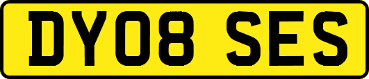DY08SES