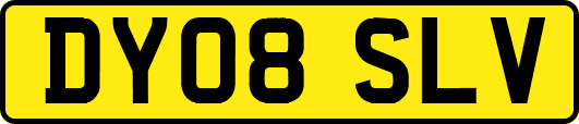 DY08SLV