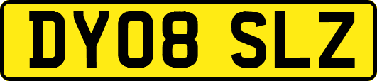 DY08SLZ