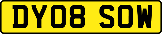 DY08SOW