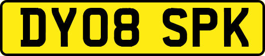 DY08SPK