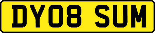 DY08SUM