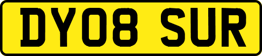 DY08SUR