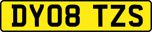 DY08TZS