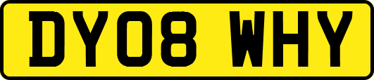 DY08WHY