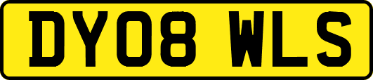 DY08WLS