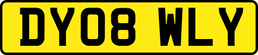 DY08WLY