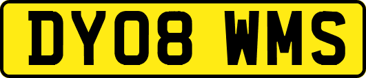 DY08WMS