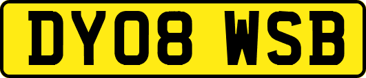DY08WSB