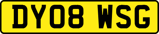 DY08WSG