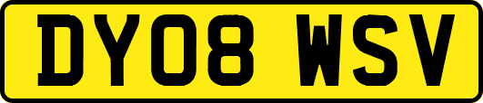 DY08WSV