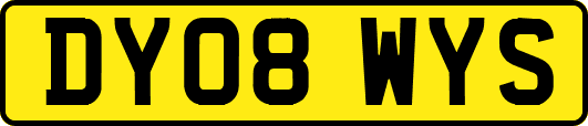DY08WYS