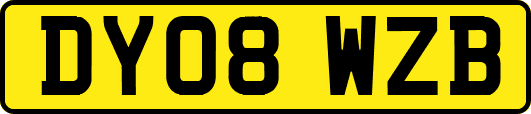 DY08WZB
