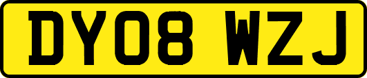 DY08WZJ