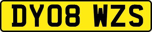 DY08WZS