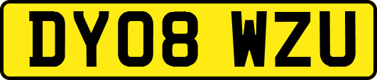 DY08WZU