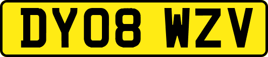 DY08WZV